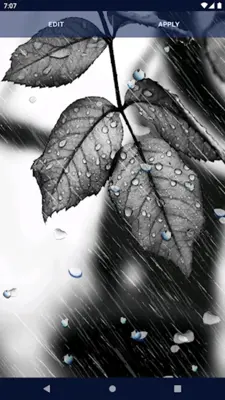 Rain Drops Live Wallpaper android App screenshot 1